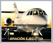 Aviaci&oacute;n Ejecutiva.
